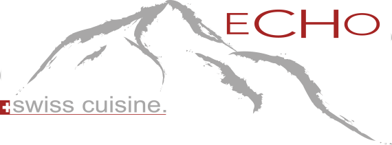 Logo eCHo