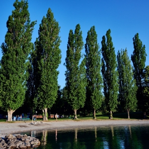 https://prozentbuch.s3.eu-central-1.amazonaws.com/prod/luzern-freizeit-strandbad_tribschen_1_0_0.jpg
